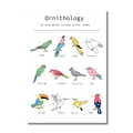 Ornithology - A2 digital print