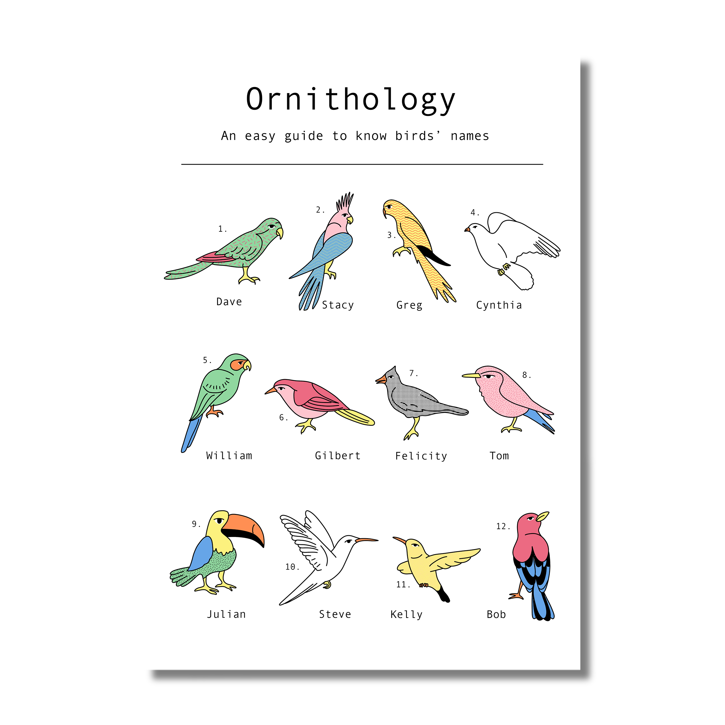 Ornithology - A2 digital print
